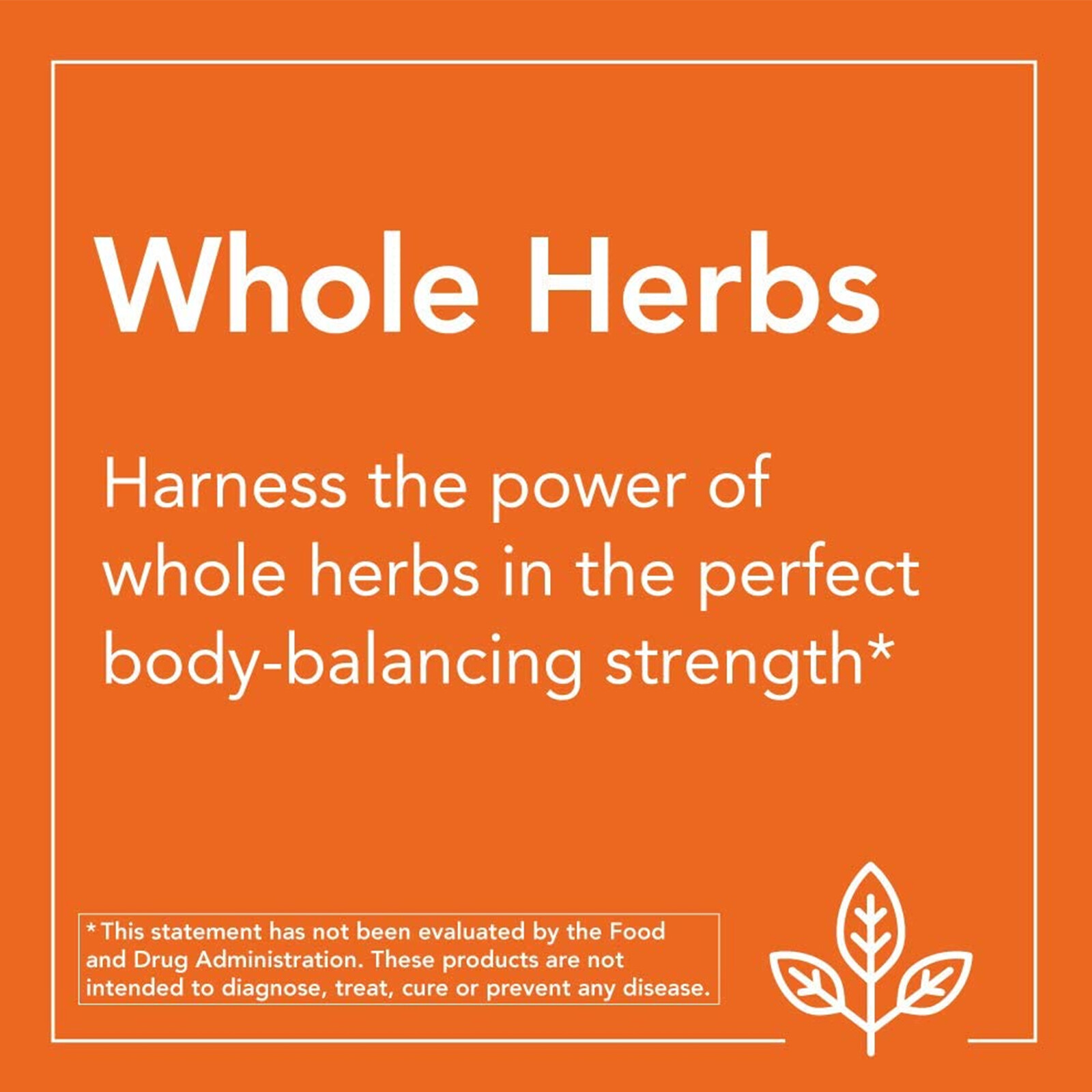 NOW Liver Refresh – 90 Veg Caps, with Milk Thistle Extract and Herb-Enzyme blend