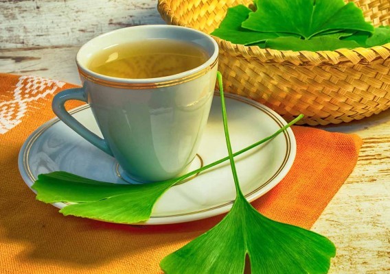 Ginkgo Biloba 10:1 Extract Powder | 4oz to 5lb | 100% Pure Natural Hand Crafted