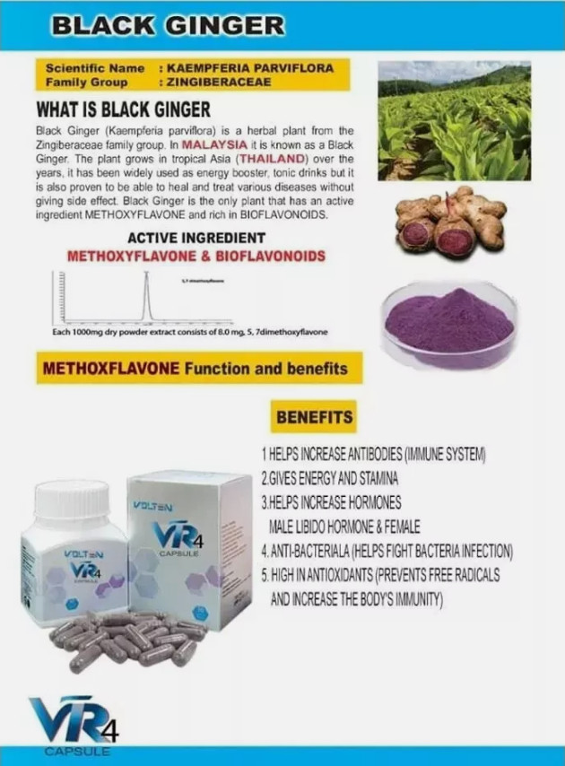1 X Volten VR4 Capsule Black Ginger Extract Plant Based General Health