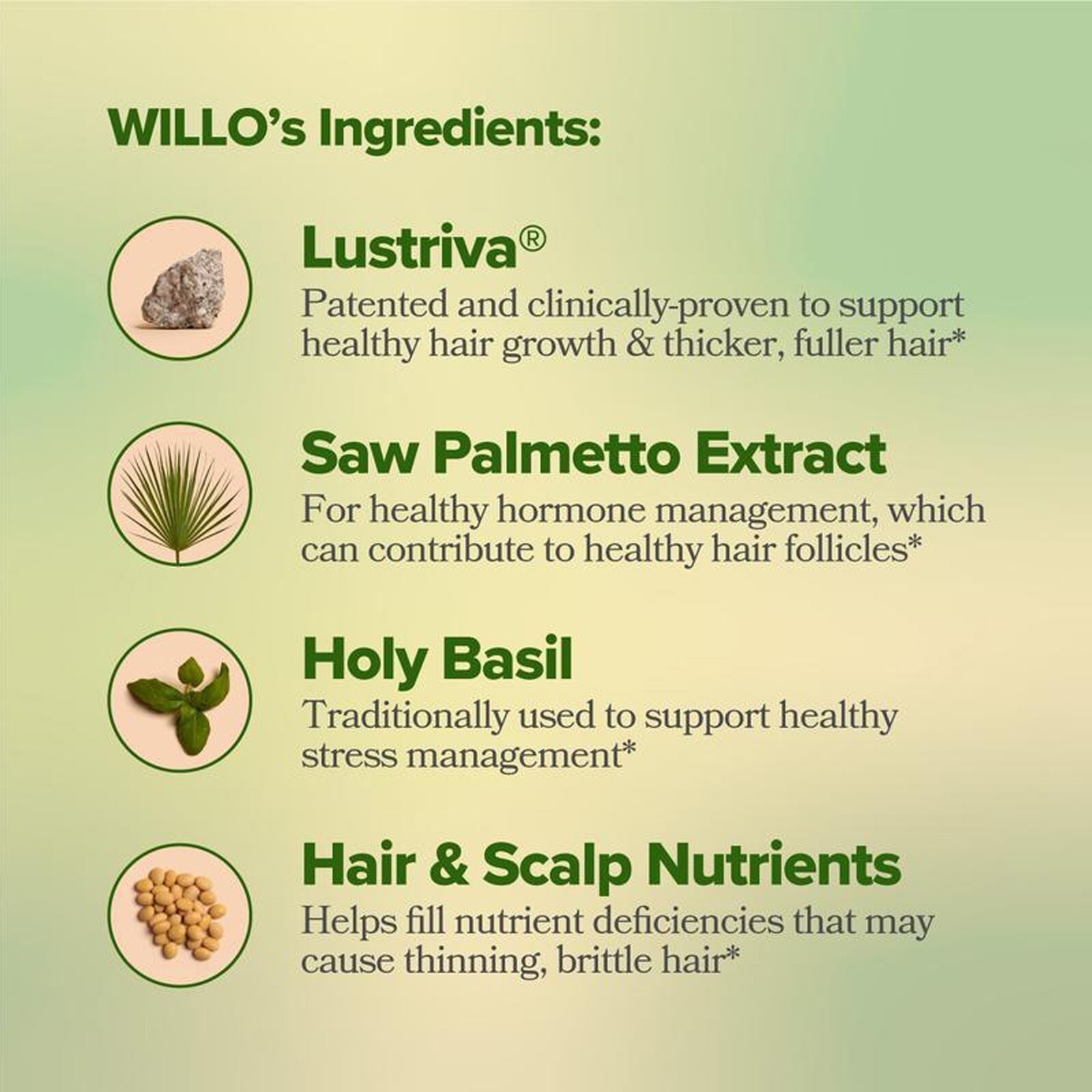 1-3 Pack O Positiv Willo Hair Growth Support For Women Hair Health 60 Capsules*