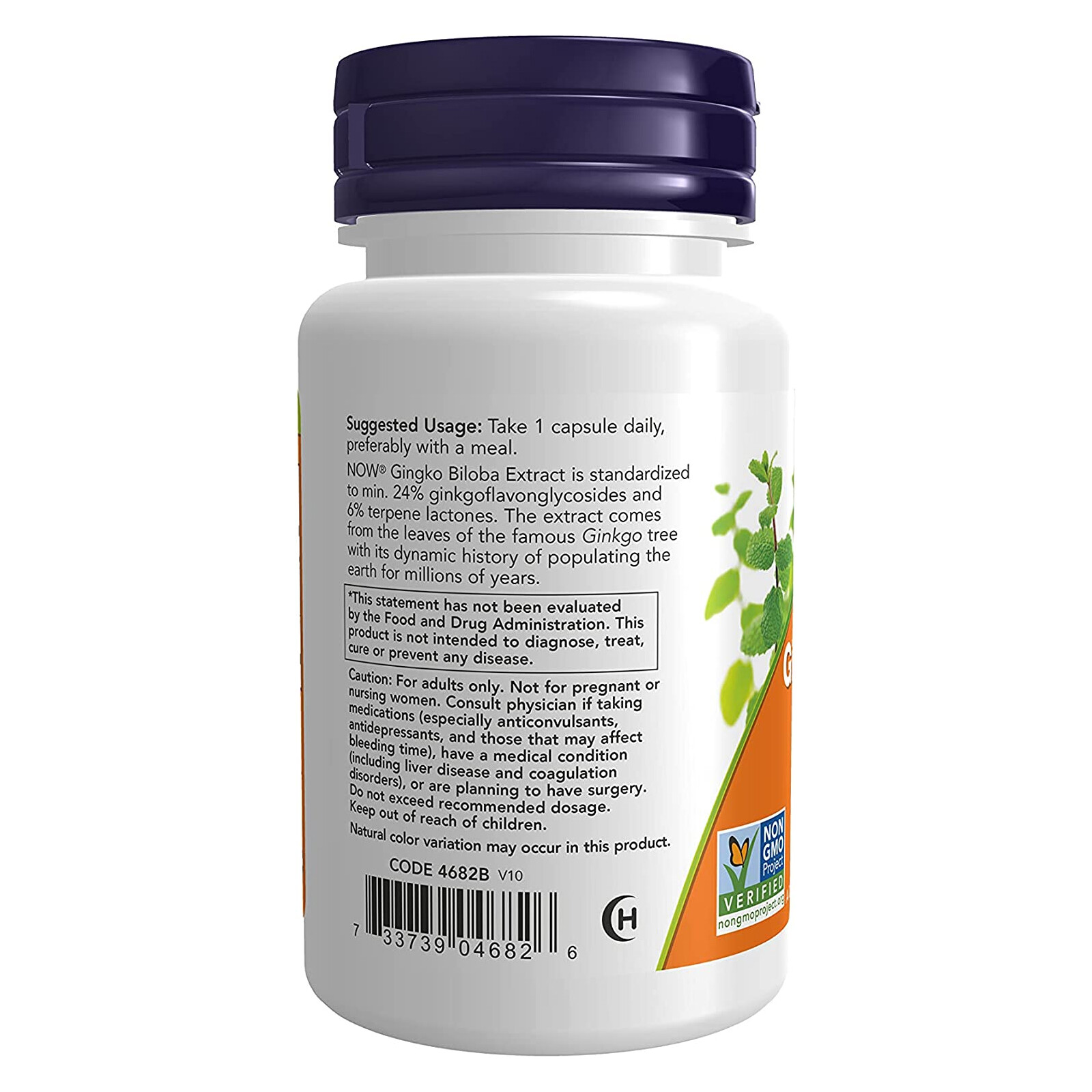3 x NOW Ginkgo Biloba 120 mg Double Strength Non GMO 50 Veg Caps