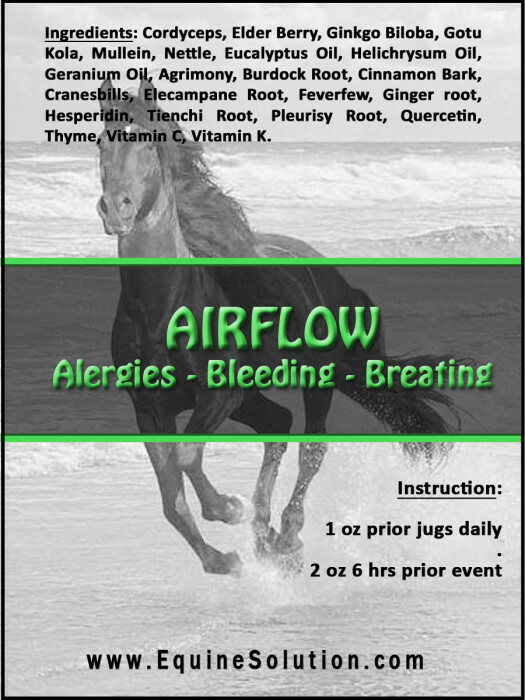 Airflow – Allergies & Bleeding & Breathing (32oz for Horse)