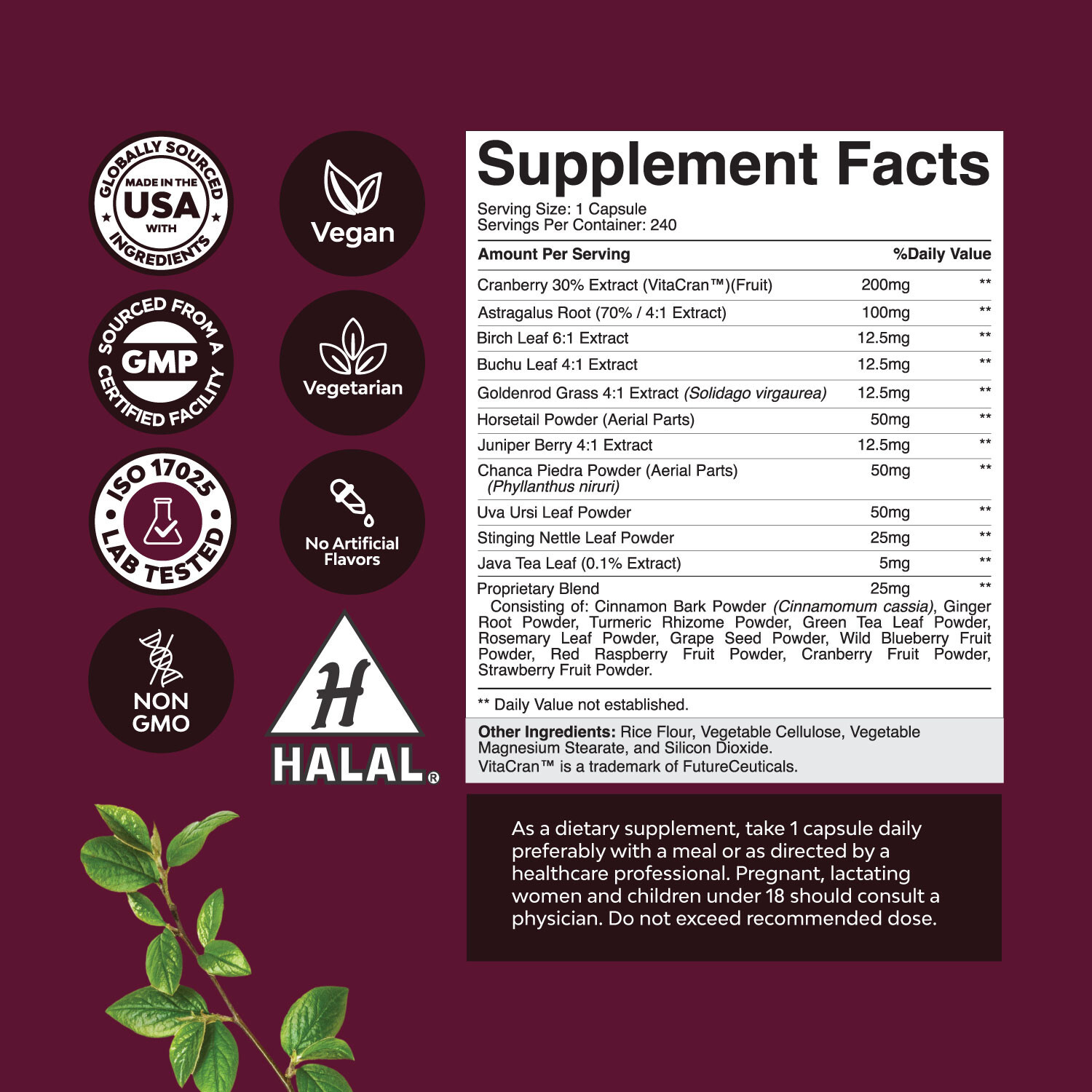 Kidney Support Cranberry Supplement for Women and Men 240ct