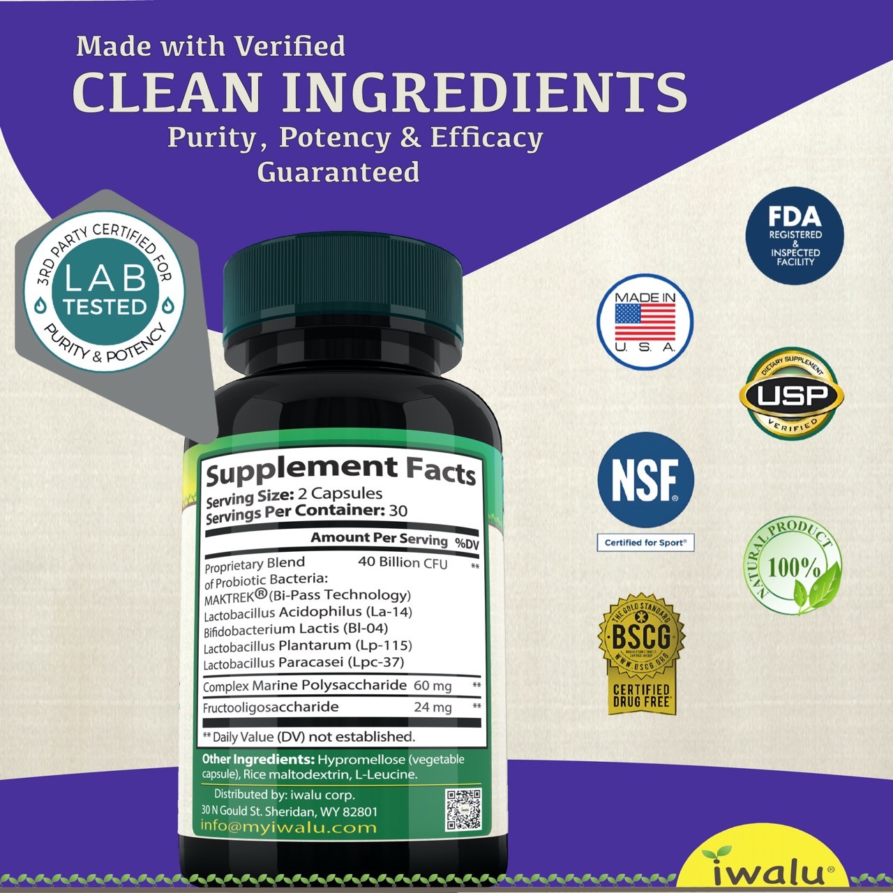 L Reuteri Probiotics – Targeted Gut Health Support for Daily Wellness – USA