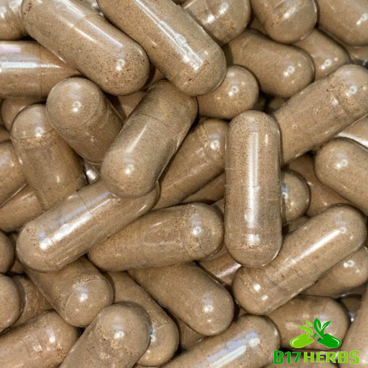 Bitter Melon & Ceylon Cinnamon Special Blend -500mg – 50 Veggie Caps