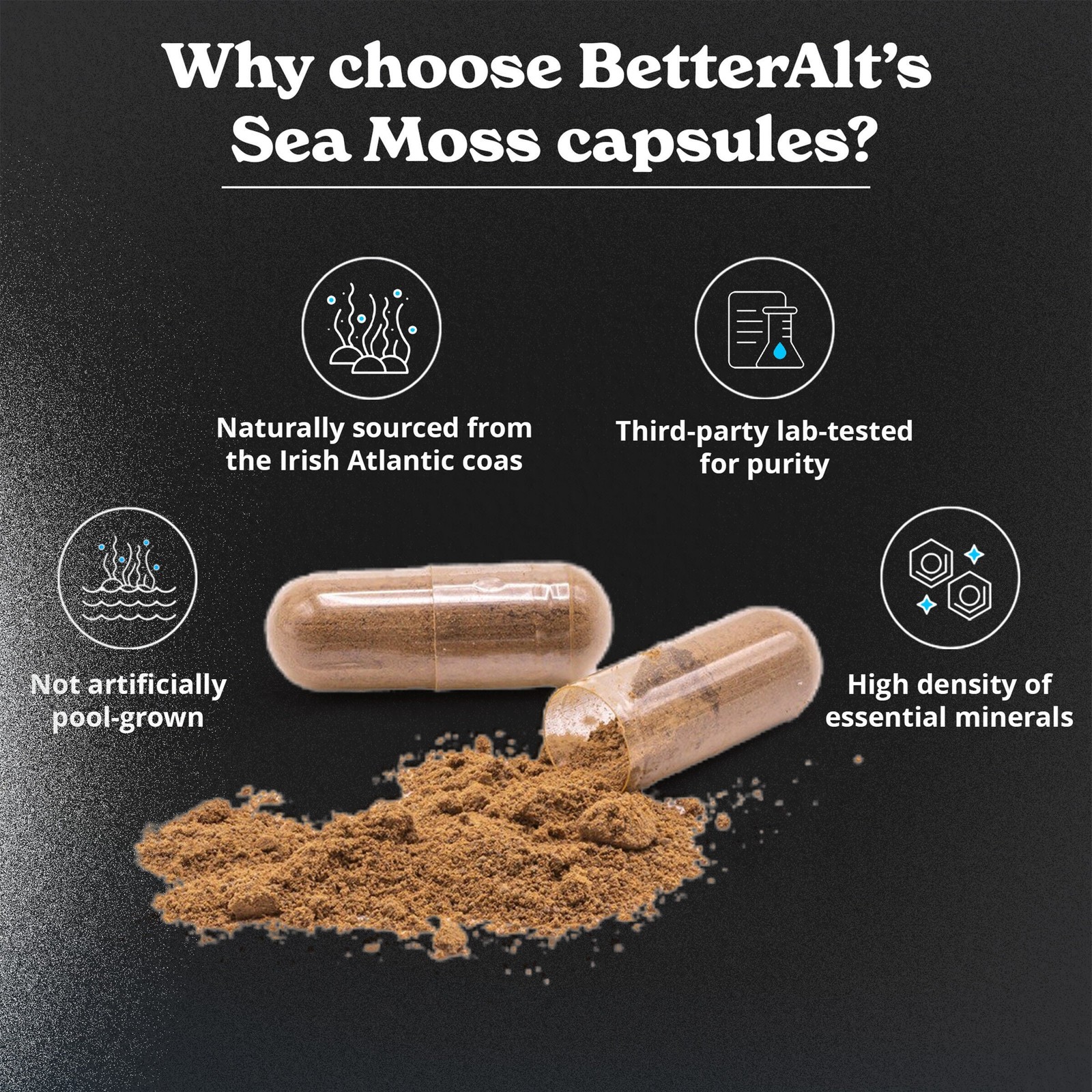Sea Moss – 120 Capsules (60 Servings)