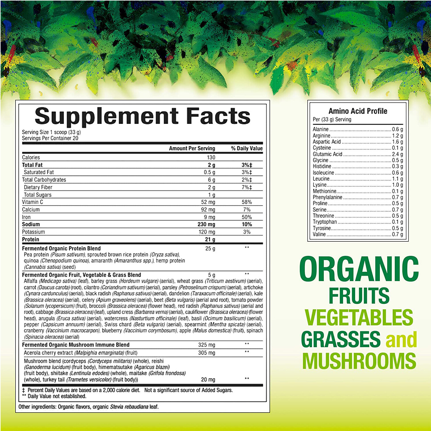 Natural Factors Whole Earth & Sea Fermented Organic Greens,Tropical,23.3 Oz