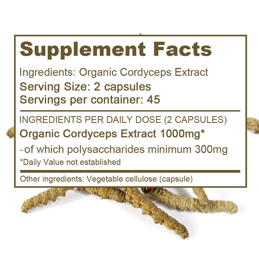 Cordyceps Mushroom Extract 1000mg Capsules – Immune Support
