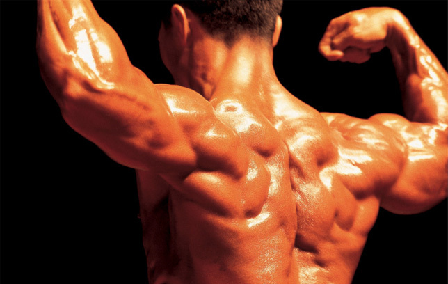 L-carnitine liquid NITRIC OXIDE MUSCLE PUMP 2400 Helps memory and behavior 2