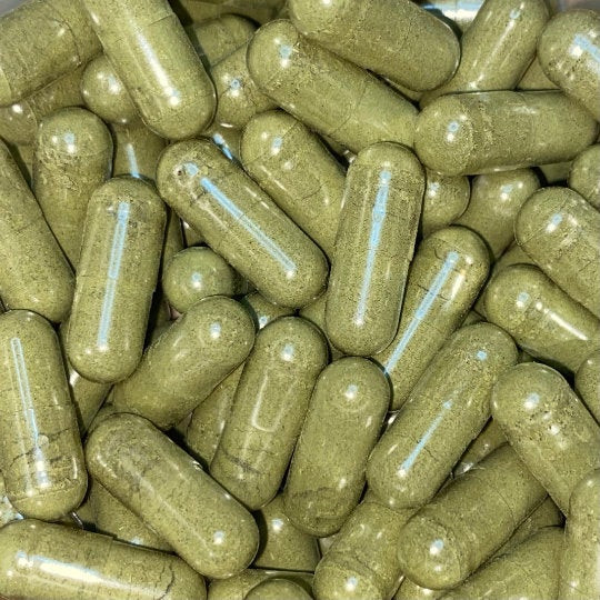 Bacopa & Panax Ginseng Blend – Nootropic, Energy, Focus, Pre-Workout – 100 Caps