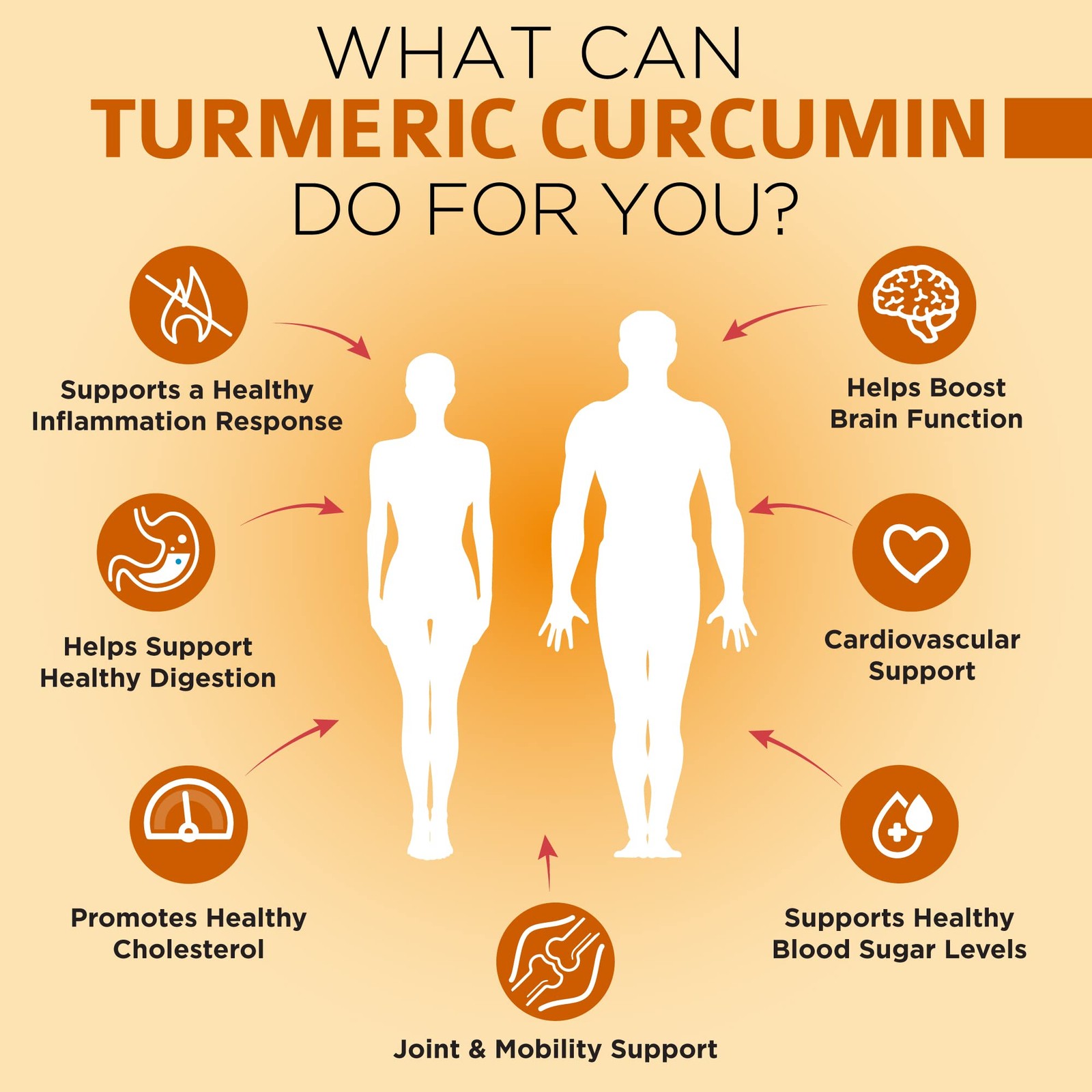 OmniBiotics Organic Turmeric Curcumin Supplement with 120 Count (Pack of 1)