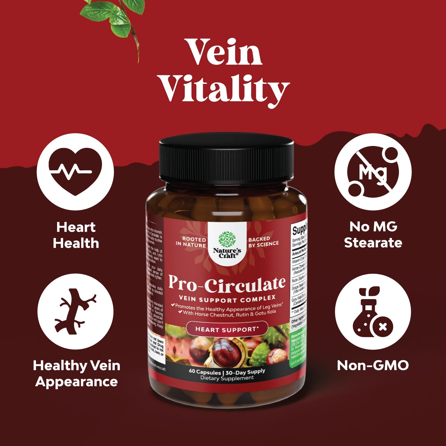 Vein Support Supplements – Full Body Circulation for Spider & Varicose Veins