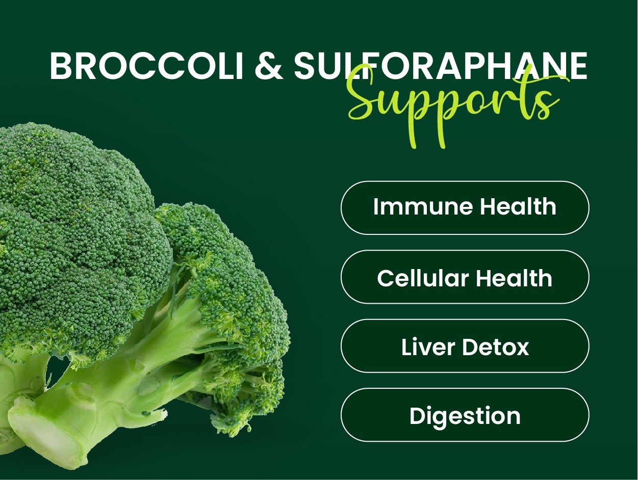 VED Broccoli-Sulforaphane, Broccoli Extract 1000 mg Sulforaphane 100 mg,2cap/Day