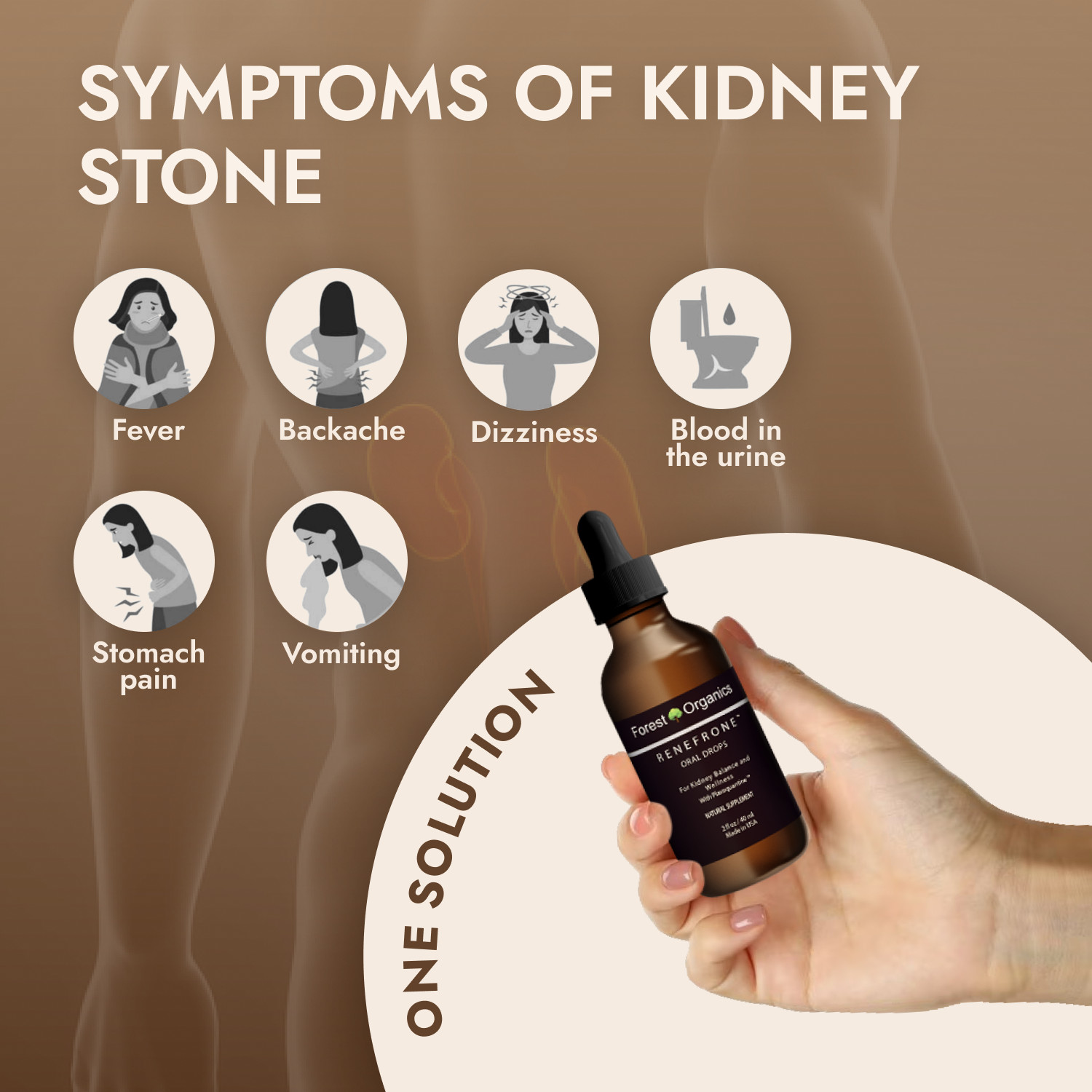 Kidney Support and Urinary Tract Support with 7 Plant Extracts Optimal Kidney