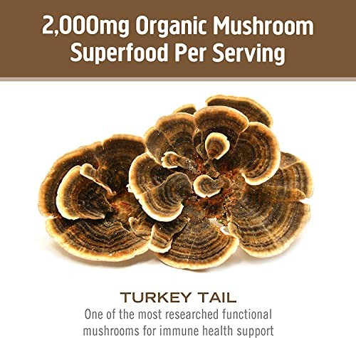 Om Mushroom Superfood Turkey Tail Mushroom Capsules, Immune Support
