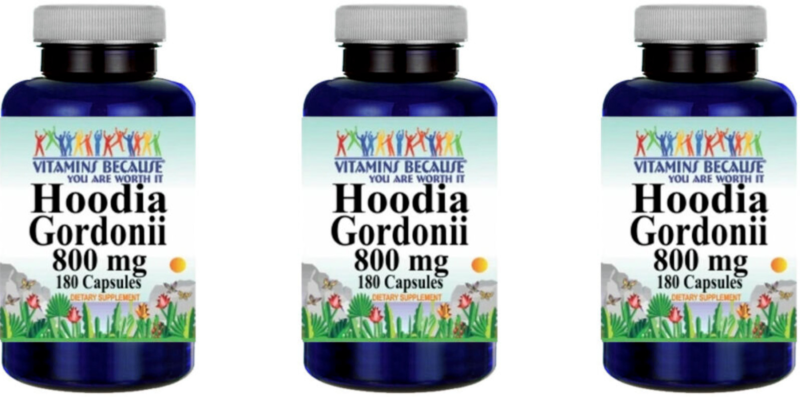 Hoodia Gordonii Extract 800mg 3X180 Caps Natural Whole Herb