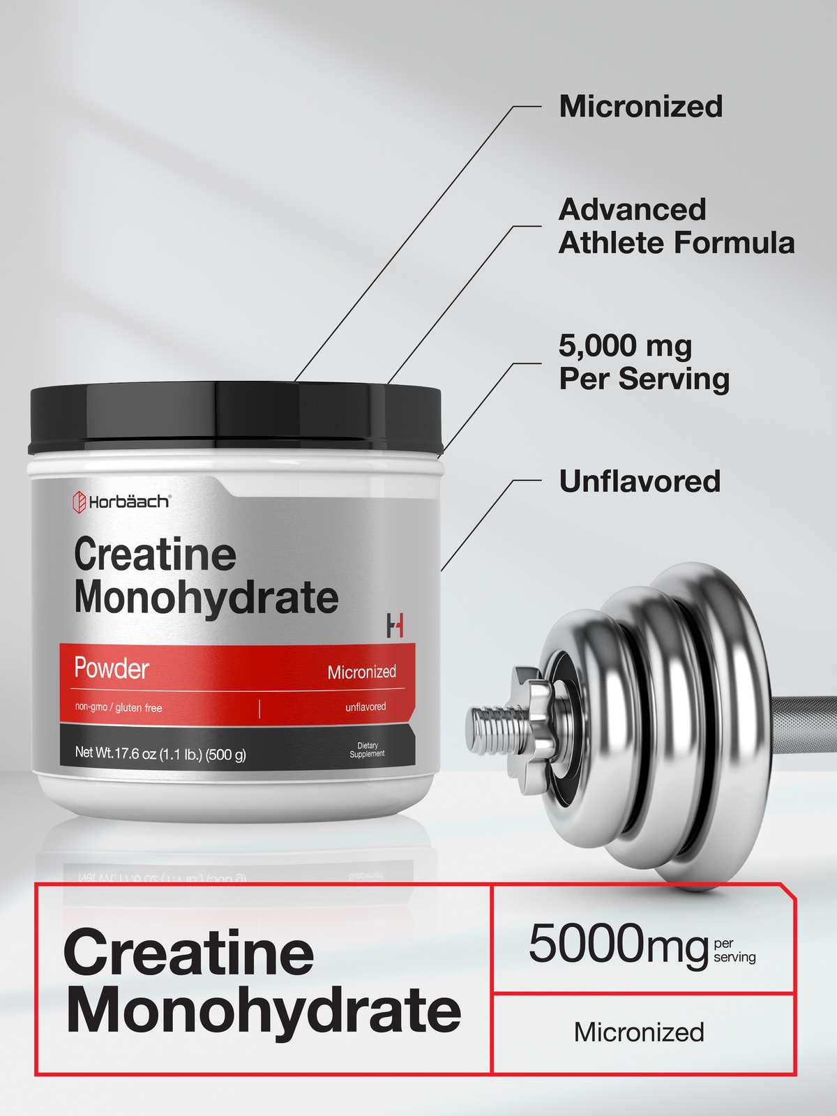 Creatine Monohydrate Powder 17.6oz | Micronized, Vegetarian | by Horbaach