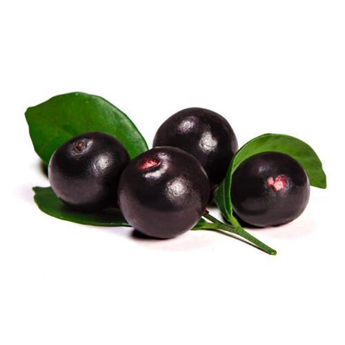resveratrol heart health – RESVERATROL SUPREME 1200mg 1B – resveratrol kosher