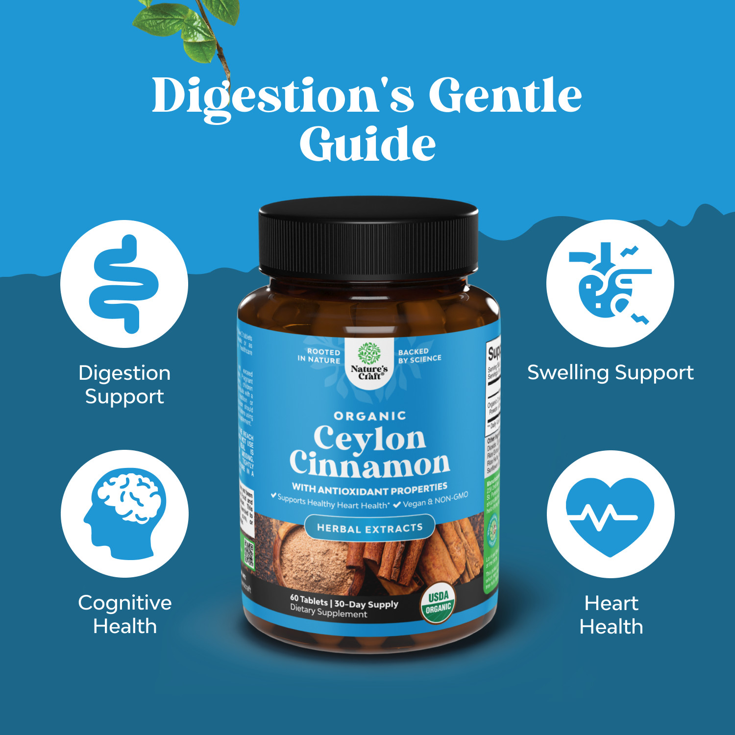 Organic Ceylon Cinnamon Tablets 1000mg Per Serving Memory Supplement Non GMO