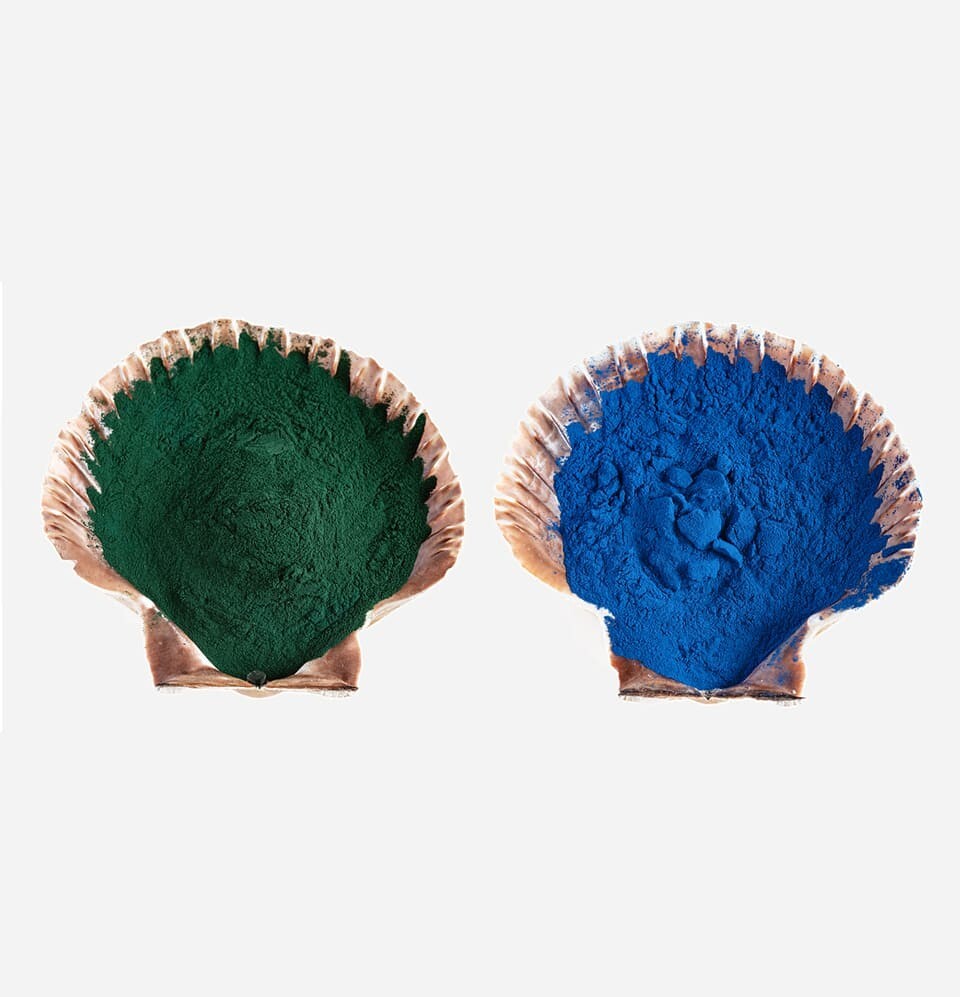 Blue Spirulina Organic Powder – Non GMO Boost Immune System Odorless