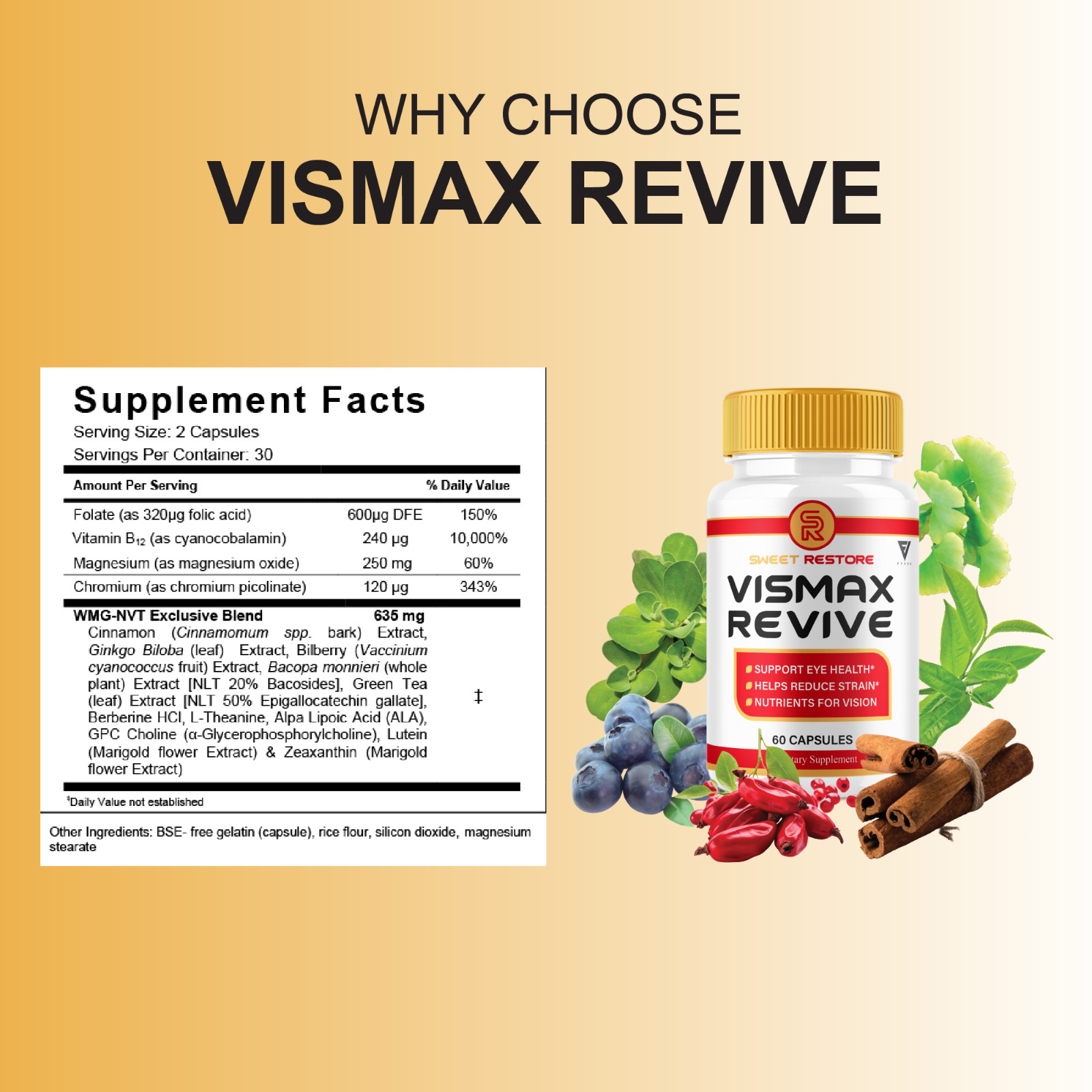 (3 Pack) VisMax Revive Premium Vision & Eye Support Supplement (180 Capsules)