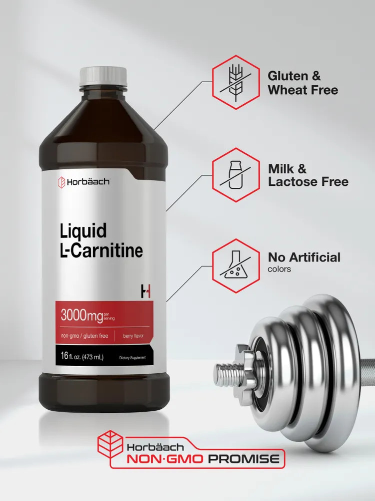 L-Carnitine Liquid 16 oz | 3000 mg | Berry Flavor | Vegetarian | by Horbaach