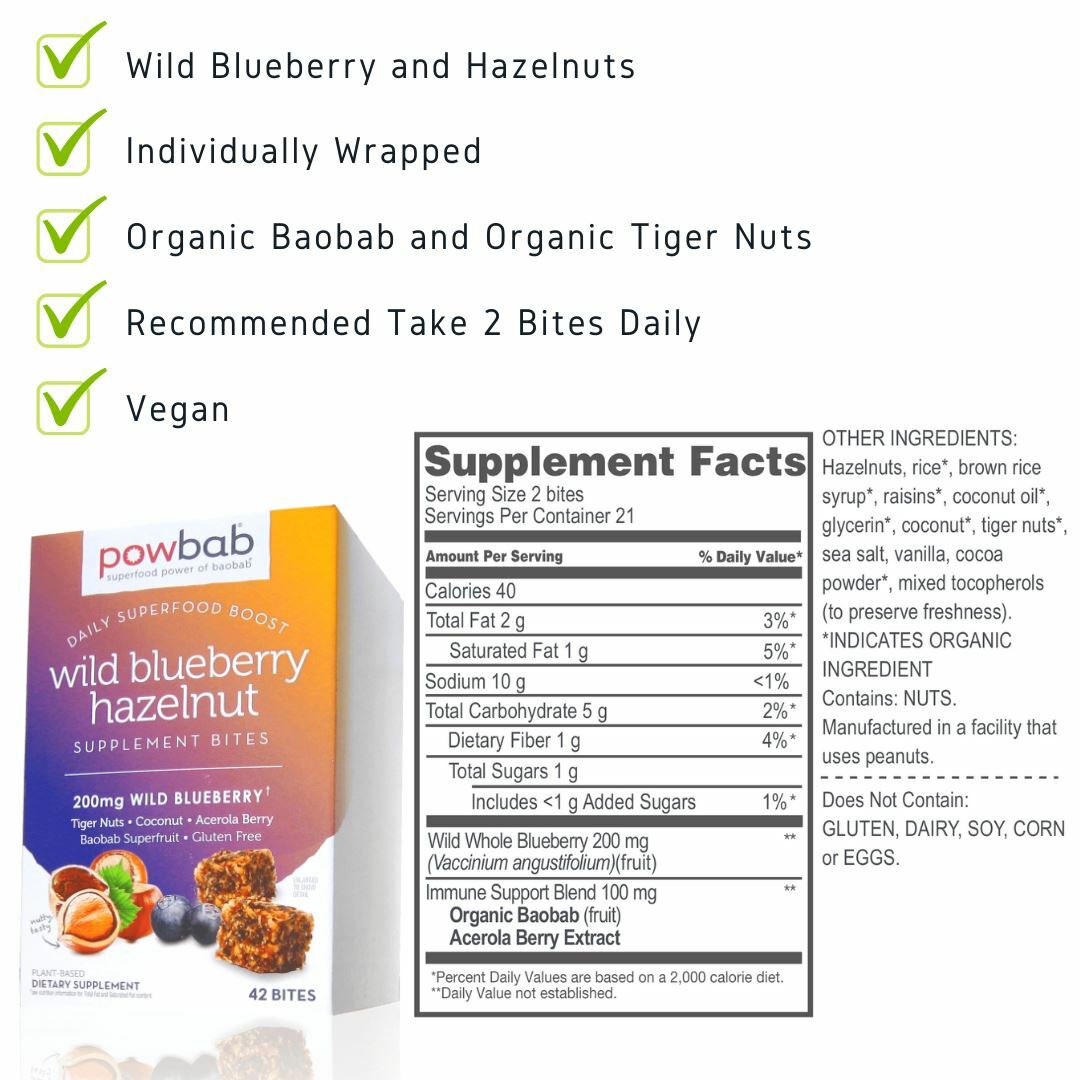 powbab Wild Blueberry Hazelnut Bites – Low Sugar with Organic Ingredients