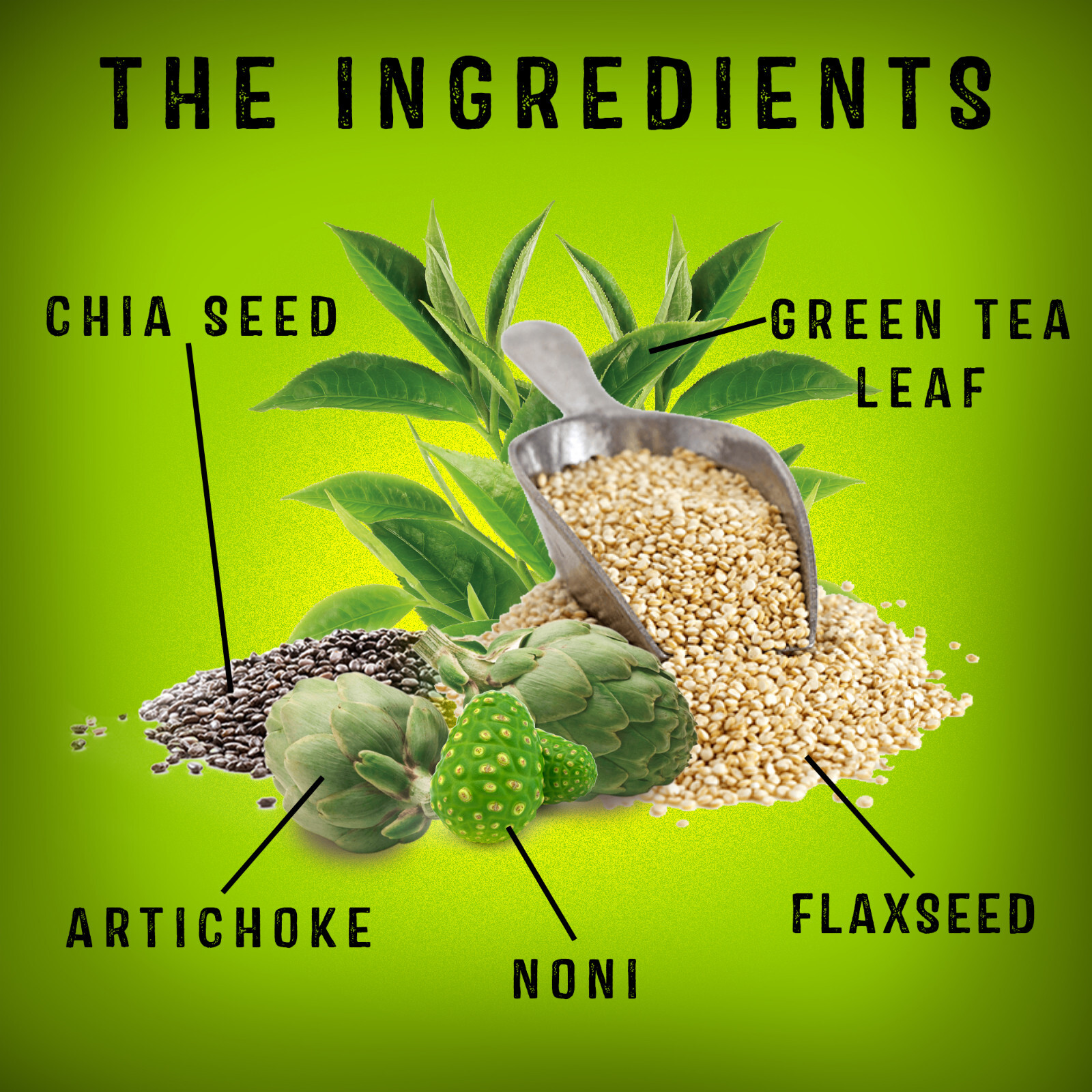 ALLNATURAL Fiber Supplement Flaxseed Psyllium Artichoke Noni Green Tea Chia Seed