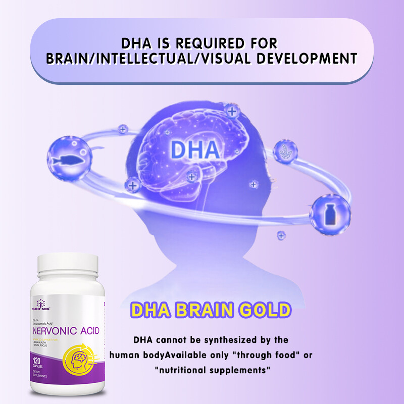 Nervonic Acid Brain Supplement Nootropic Memory Focus Nerve Support 120 Caps