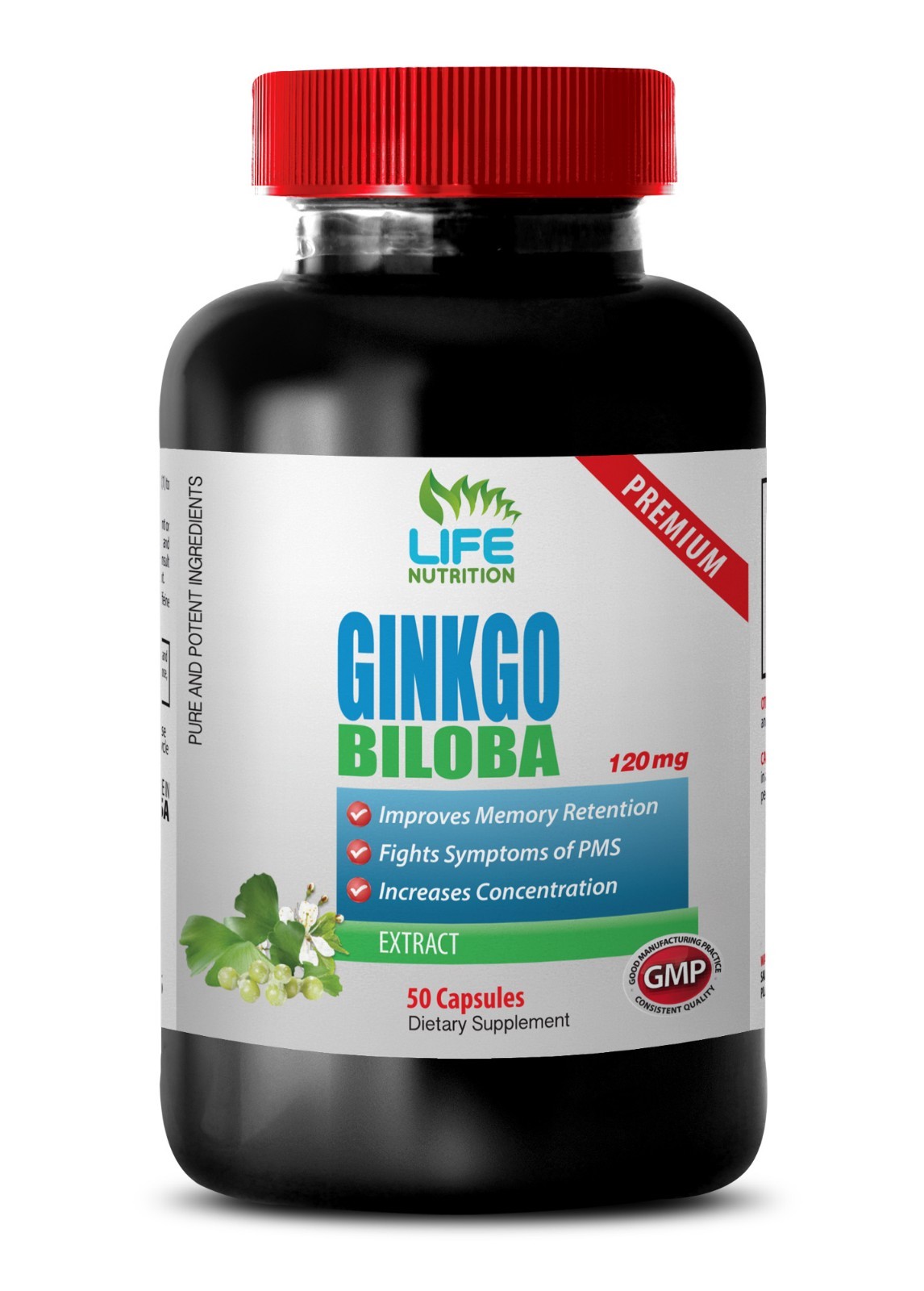 antioxidant supplement – Ginkgo Biloba 120mg – 1 Bottle – antioxidant herbs