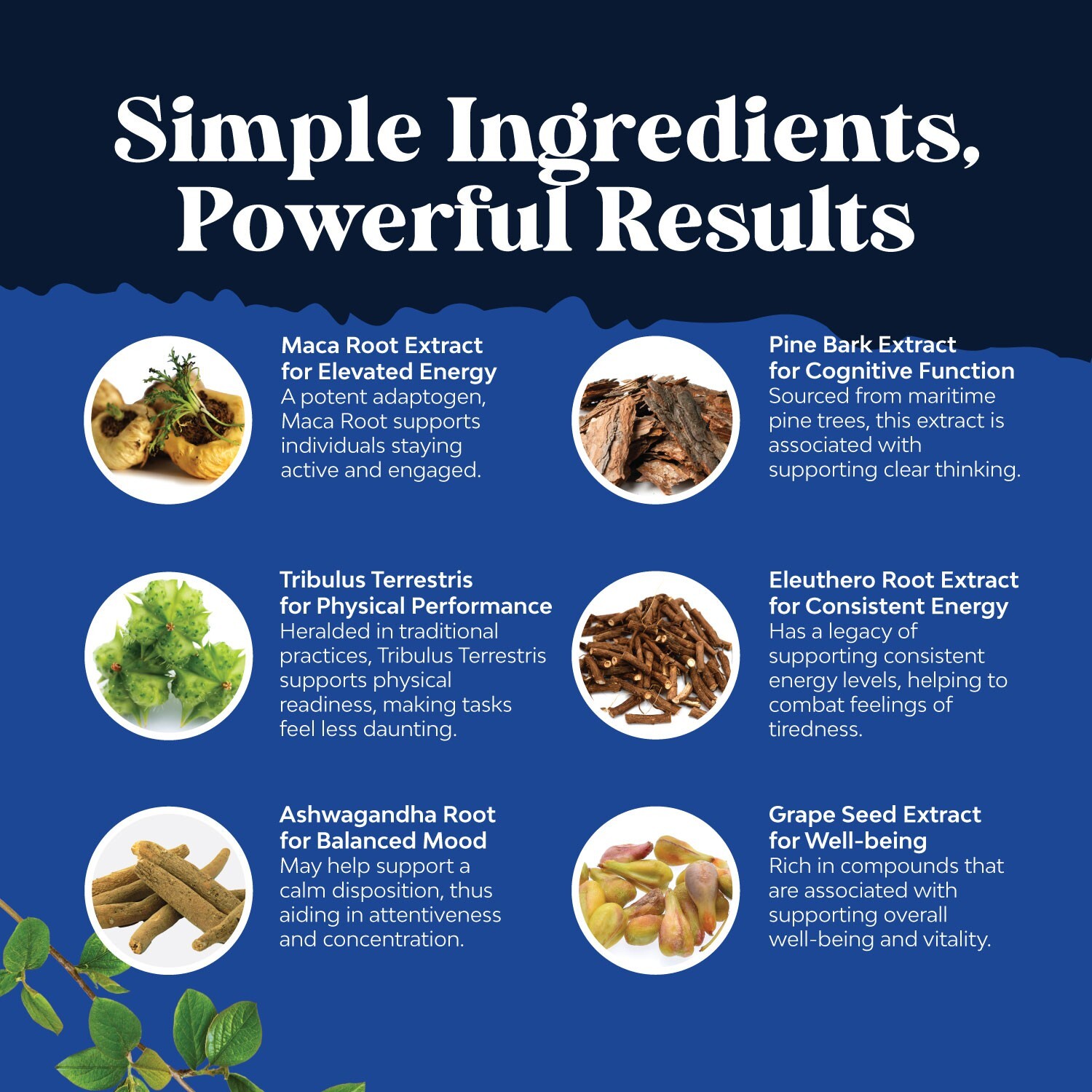 Potent Black Maca Root Capsules for Men – Herbal Wellness Supplement 120ct