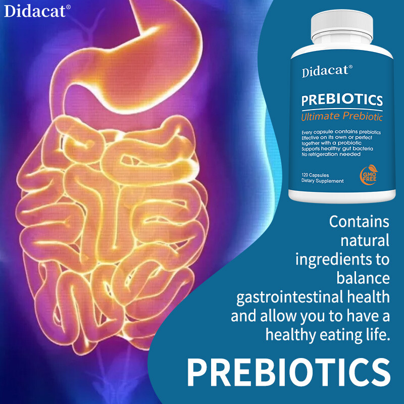 Prebiotic Supplement Protect Intestinal Health & Digestive System Health