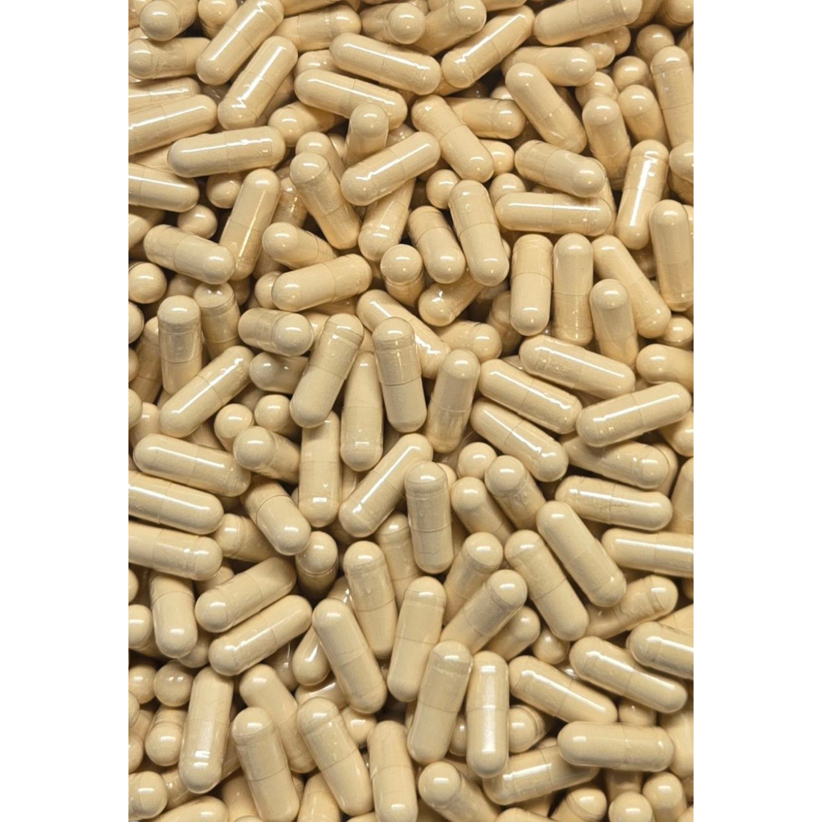 Fenugreek Capsules – Bulk