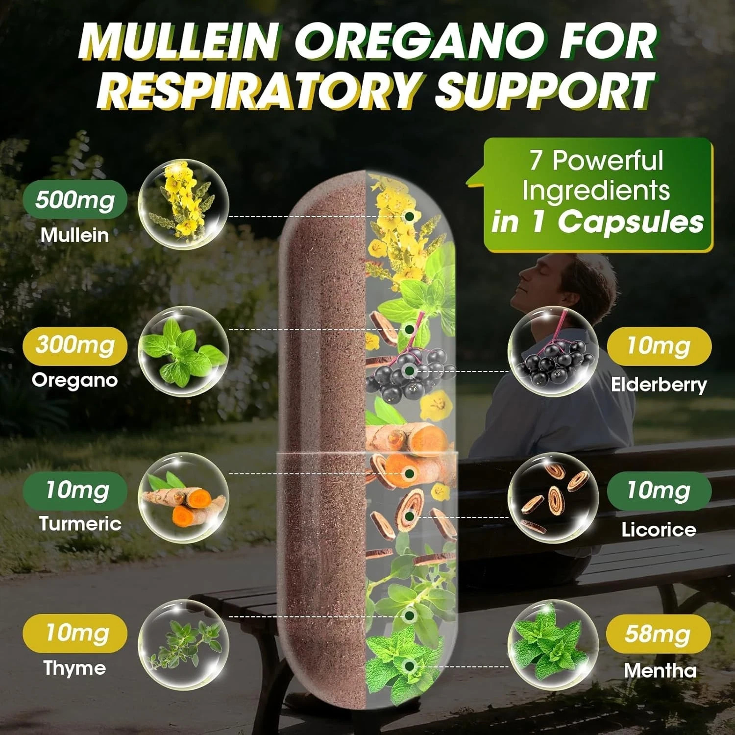 Catfit 5000mg Mullein Leaf Oregano Lung Detox Supplement 3 Bottles 360 Capsules
