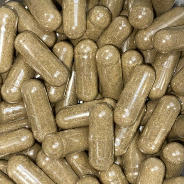 Gotu Kola – Organic – Nootropic, Energy, Over-All Wellness – 100 Veggie Caps