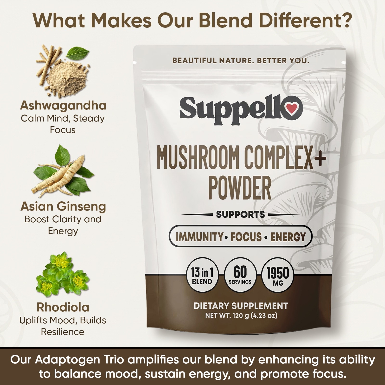 Suppello Mushroom Complex+ Powder – 13 In 1 Blend – 4.23 oz (60 Servings)