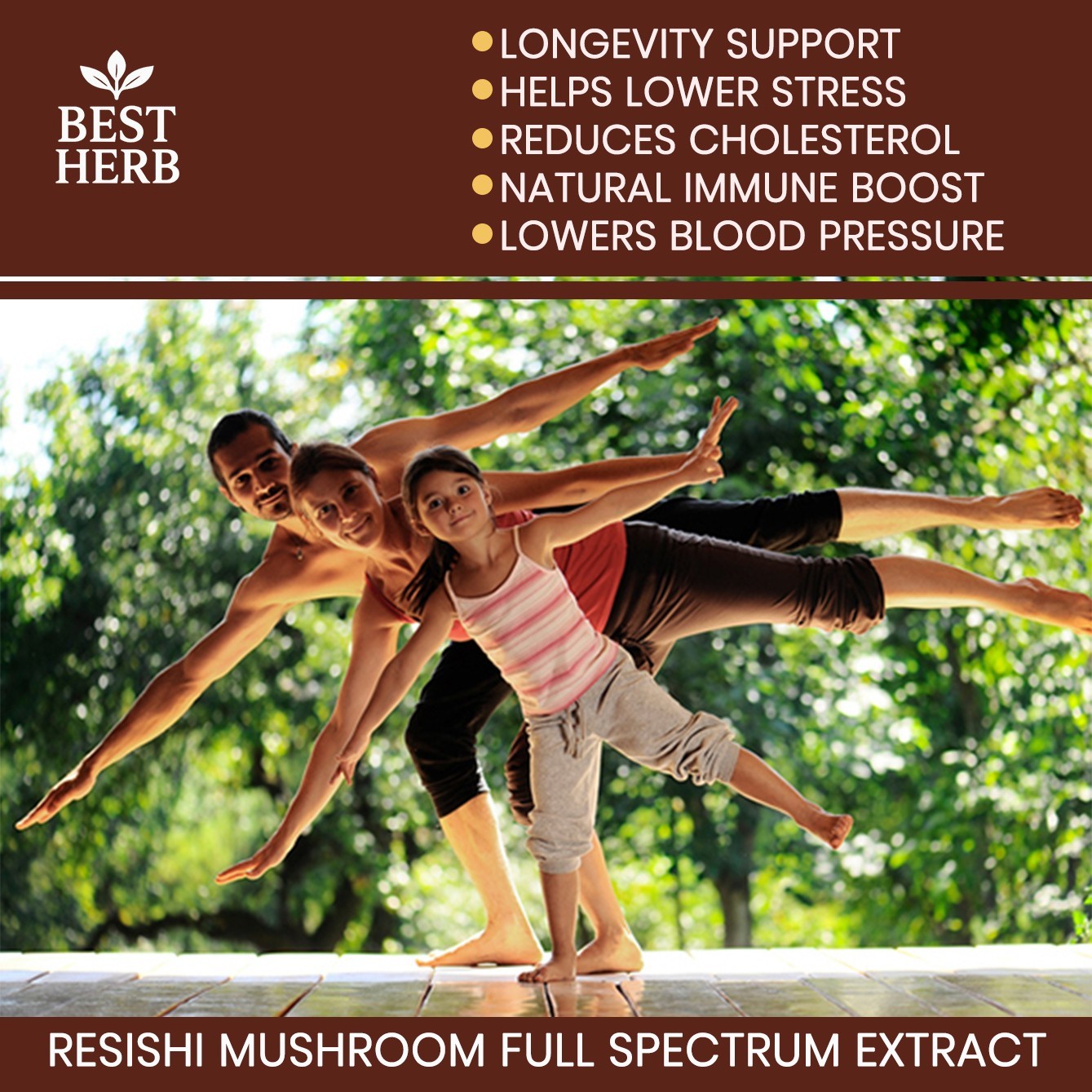 Pure Reishi Mushroom Natural Supplement Organic Pills Immune Health Max Support
