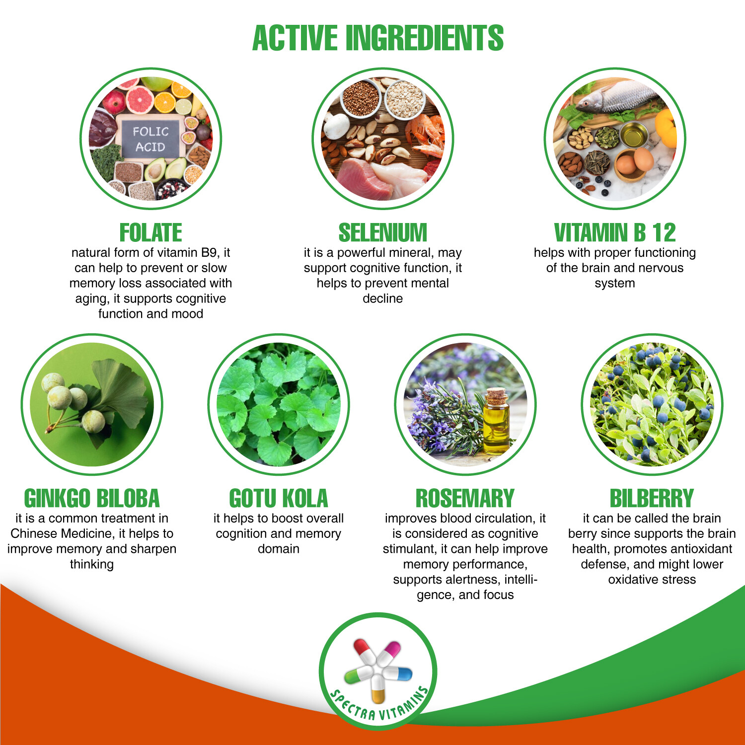 BRAIN POWER supports Mental Alertness and Focus, Ginkgo Biloba, Rosemary, B12,