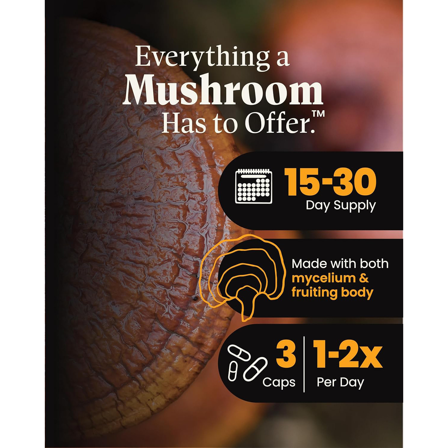 Herb Pharm,Mushroom Wellness Organic Red Reishi Mushroom,90 Veg Caps