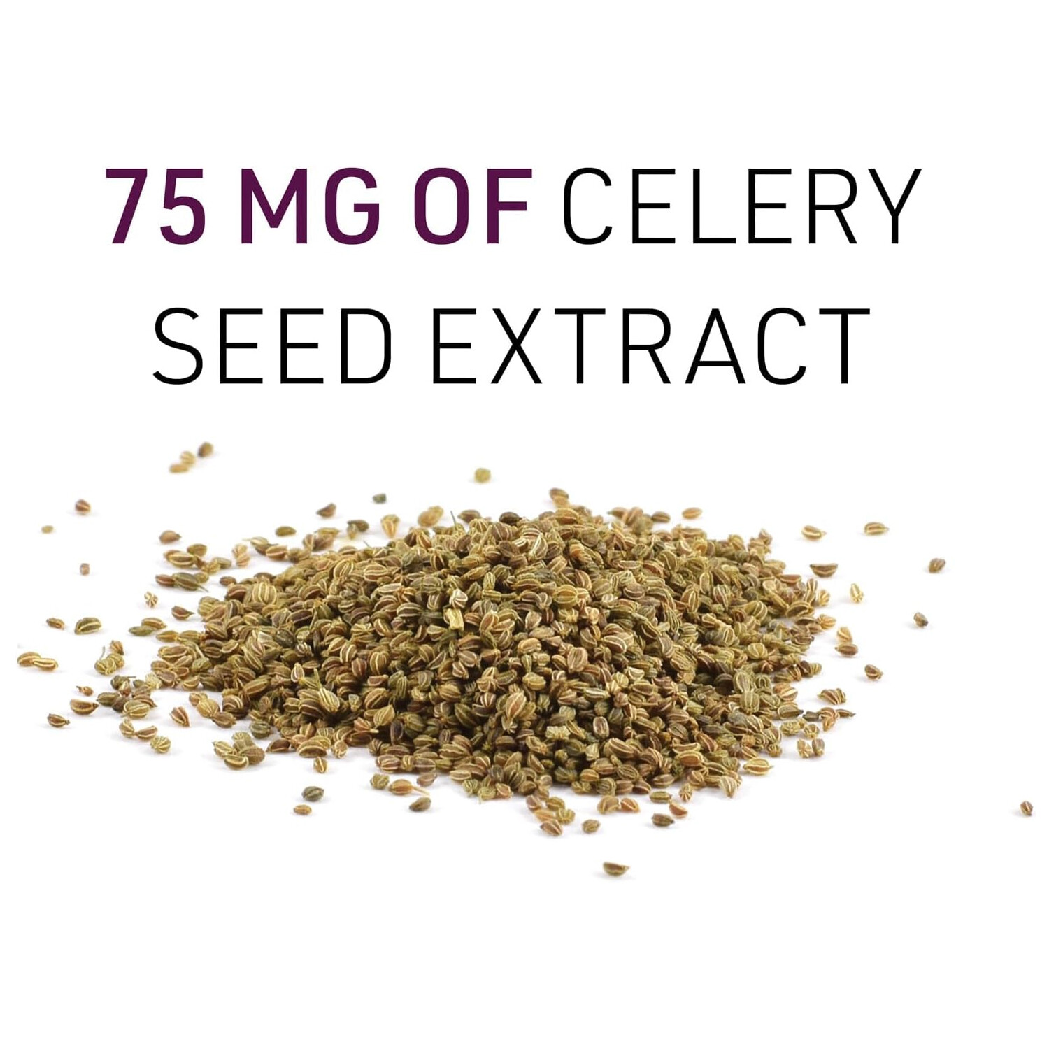 Natural Factors – Celery Seed Extract,Circulatory Support,120 Vegetarian Caps