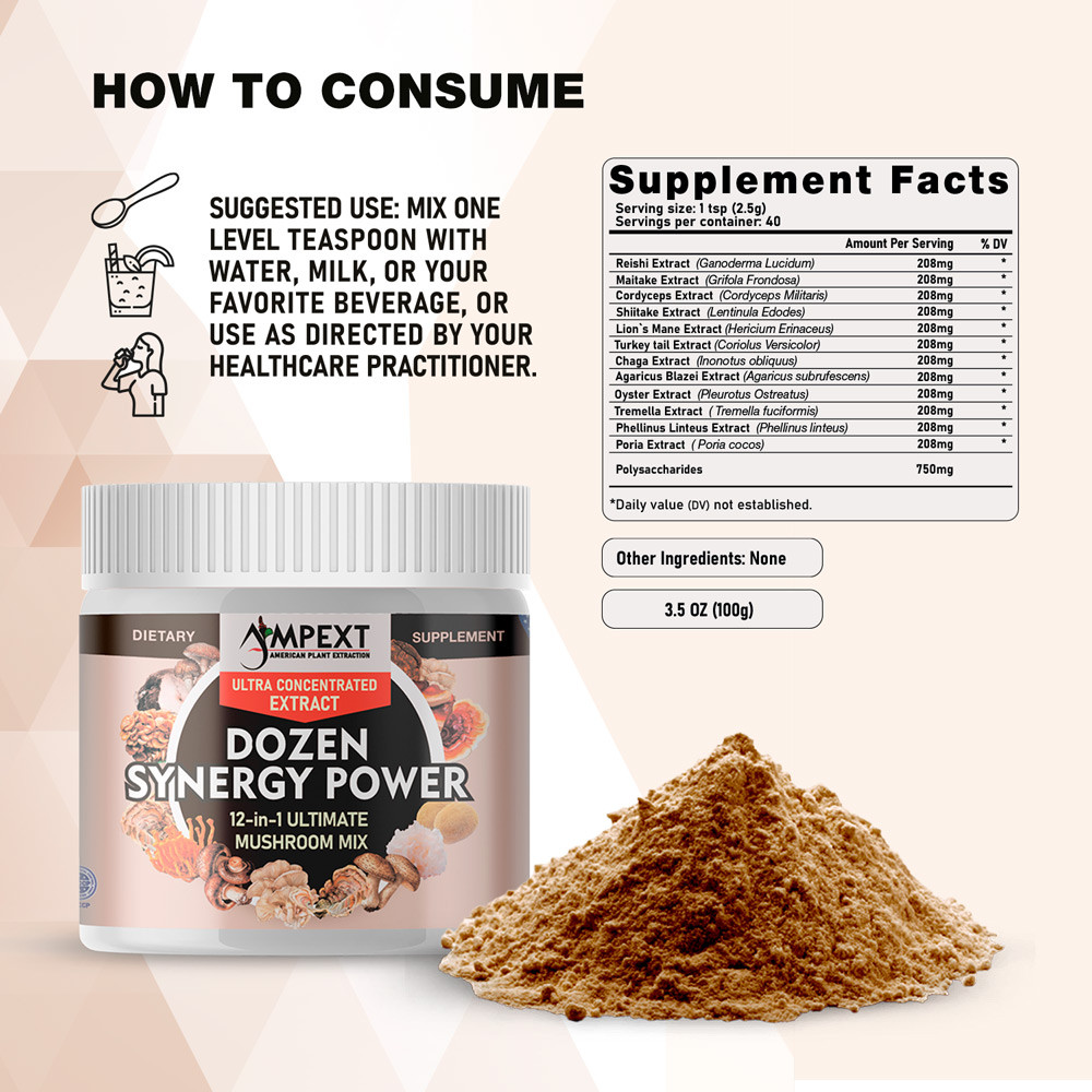 12-IN-1 Dozen Synergy Power Mushroom Extract – Only Fruiting Bodies, 100g