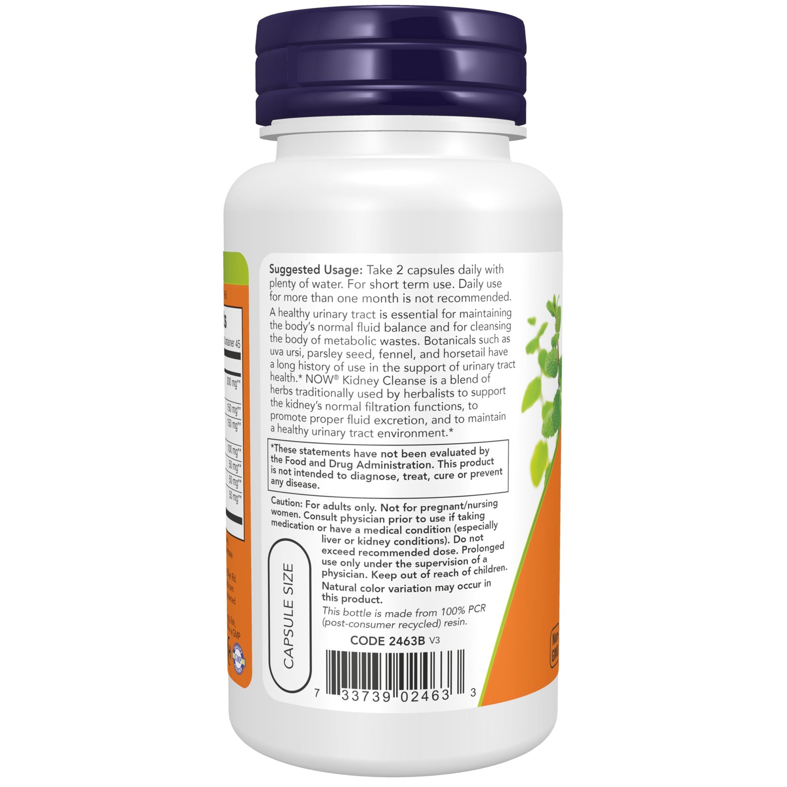 NOW Supplements, Kidney Cleanse with 90 Count (Pack of 1), Brown W/Speckles