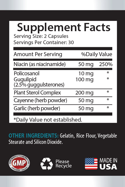 Health Pills Antioxidant – CHOLESTEROL RELIEF 460mg – 2 Bottles 120 Capsules