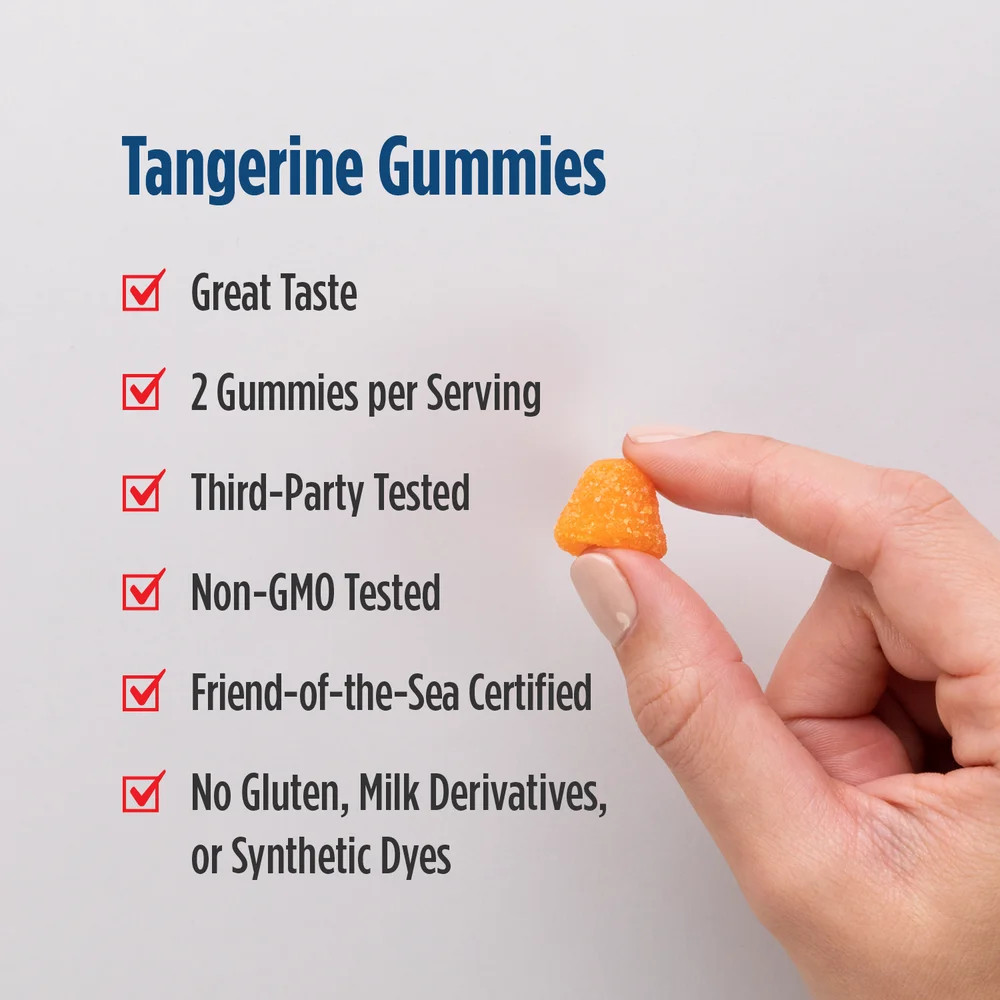 Nordic Naturals Omega 3 Gummies – Daily Omega-3s, DHA & EPA, 60 Ct