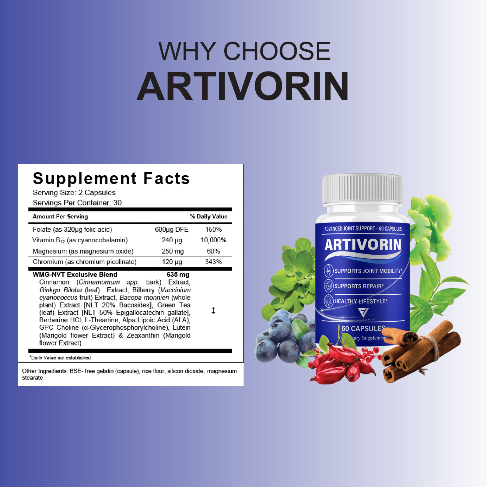 (5 Pack) Artivorin Advanced Joint Support, Artivorin Pills (300 Capsules)