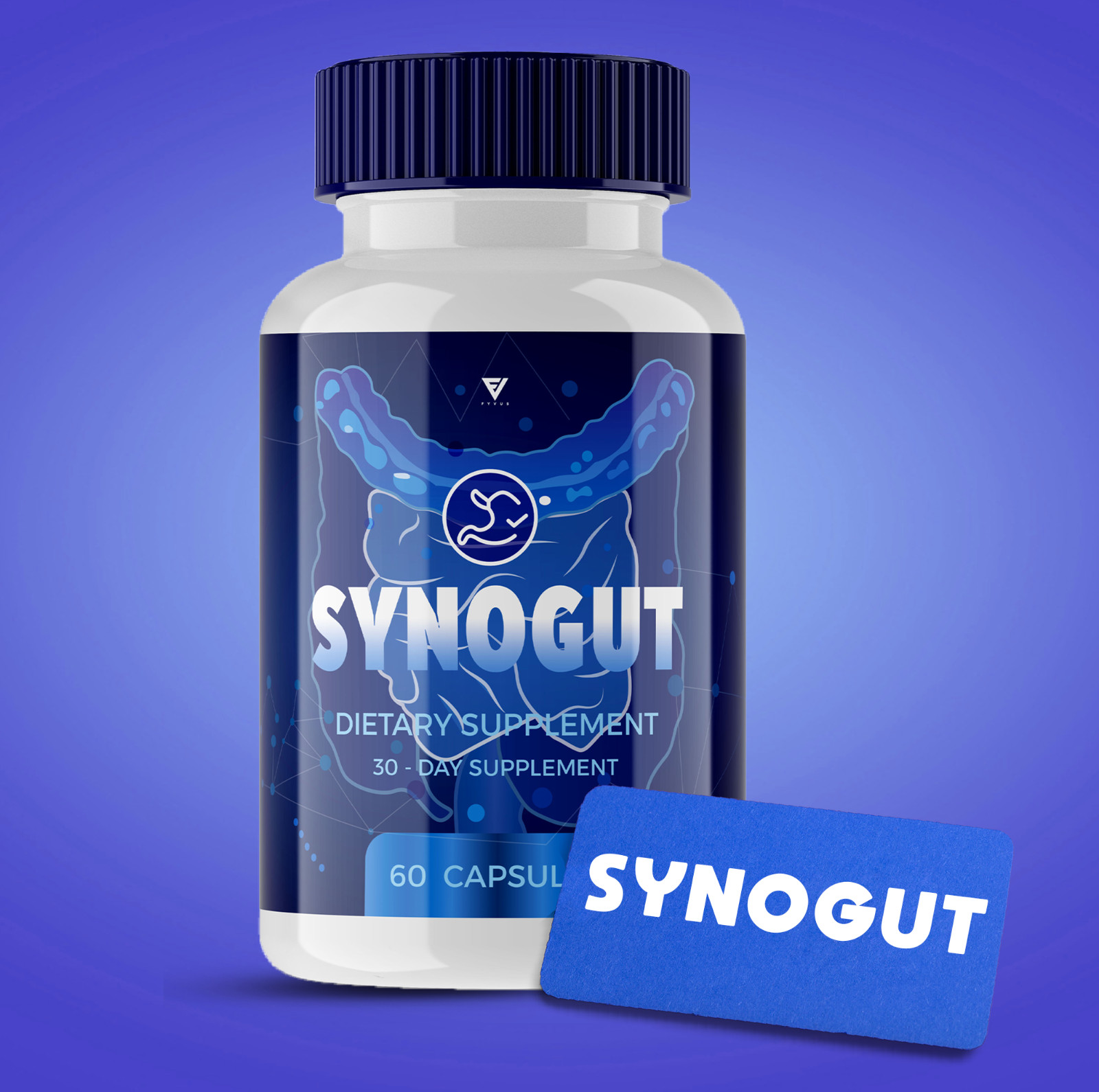 (2 Pack) Synogut Capsules Digestive Gut Support, Synogut Reviews (120 Capsules)