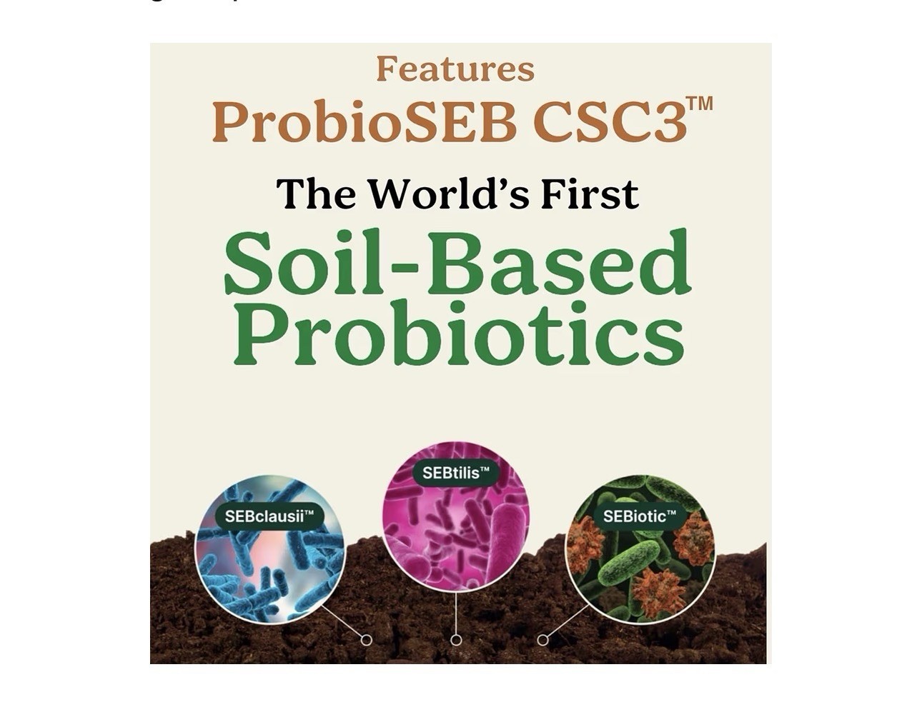 Law of Nature Best Days Formula Probiotic Gut Health 60 Capsules