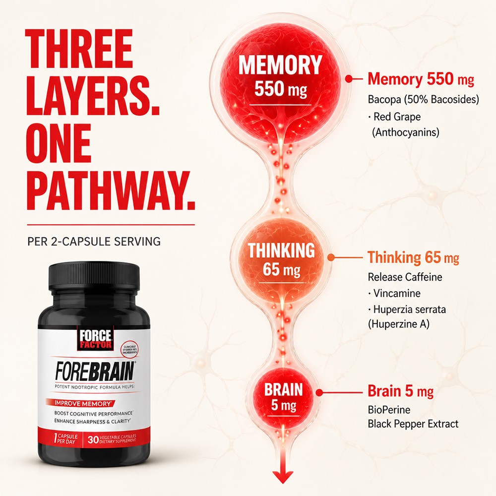 3-Layer Brain Support Formula-Immediate Focus + Sustained Memory 30/60/120 Caps