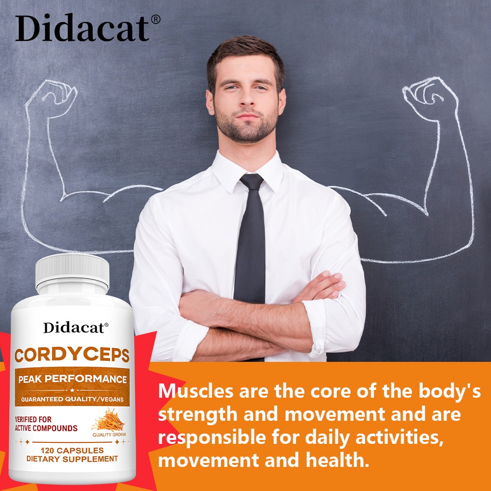Contains Cordyceps 30/60/120 capsules – supports lung and muscle health