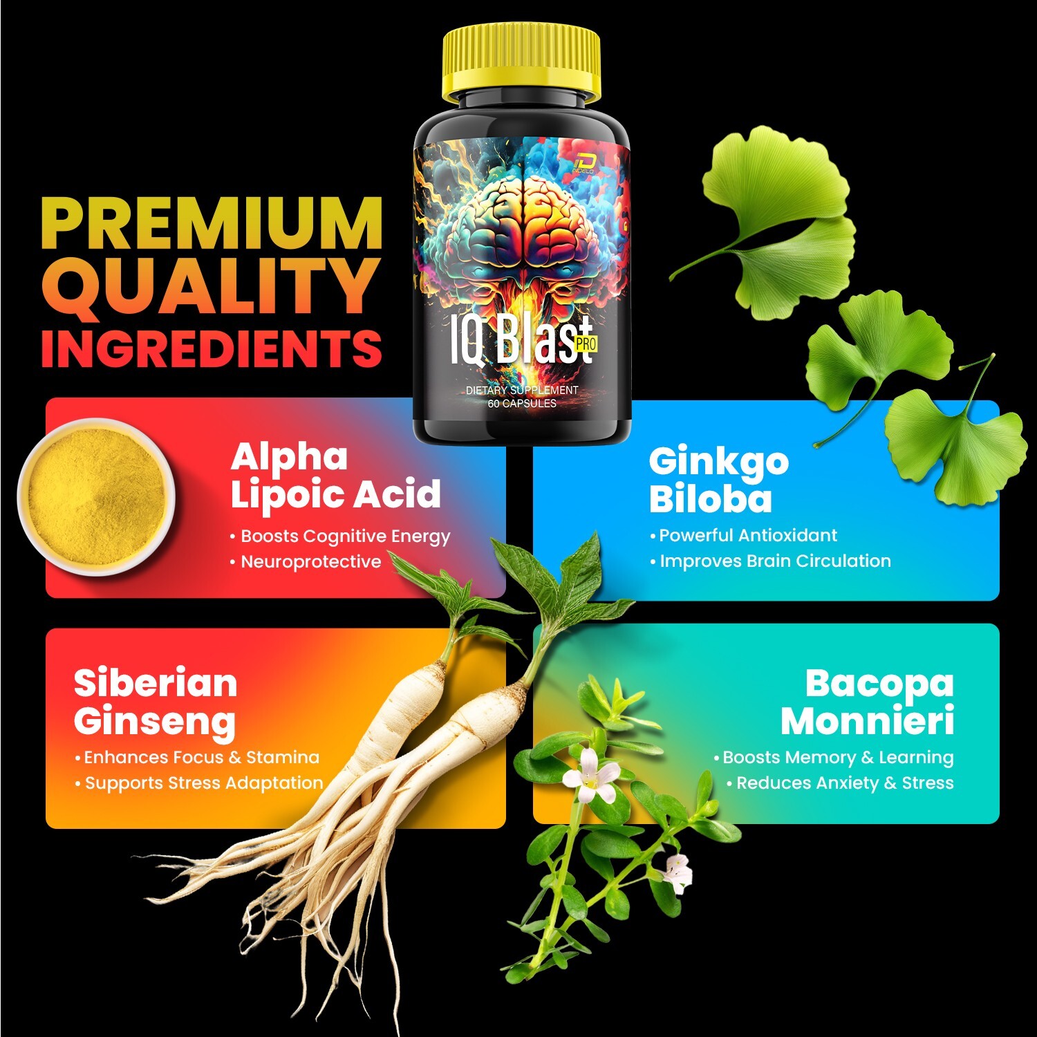 (3 Pack) IQ Blast Pro Brain Supplement Capsules – IQBlast Pro All-Natural